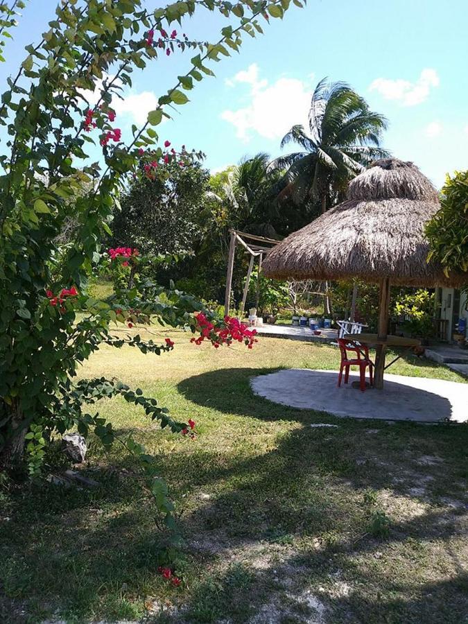 Hotel Templo Maya Xpujil Kültér fotó
