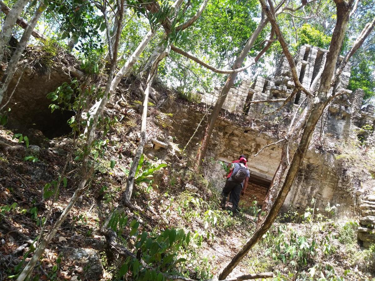 Hotel Templo Maya Xpujil Kültér fotó